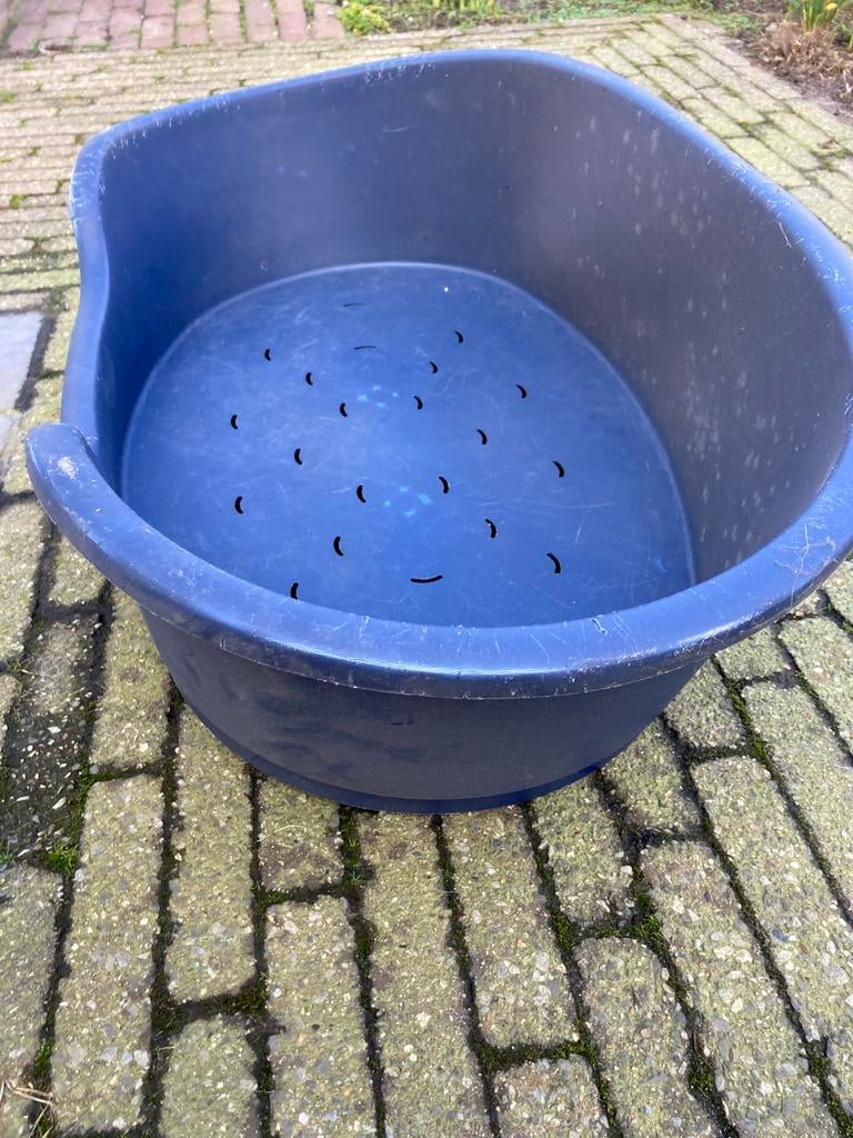 Hondenmand, Dieren en Toebehoren, Ophalen, Gebruikt