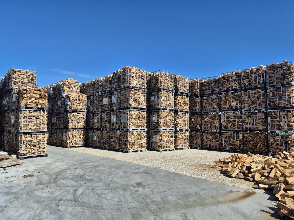 BRANDHOUT Eik en Beuk uit de stam, Ophalen of Verzenden