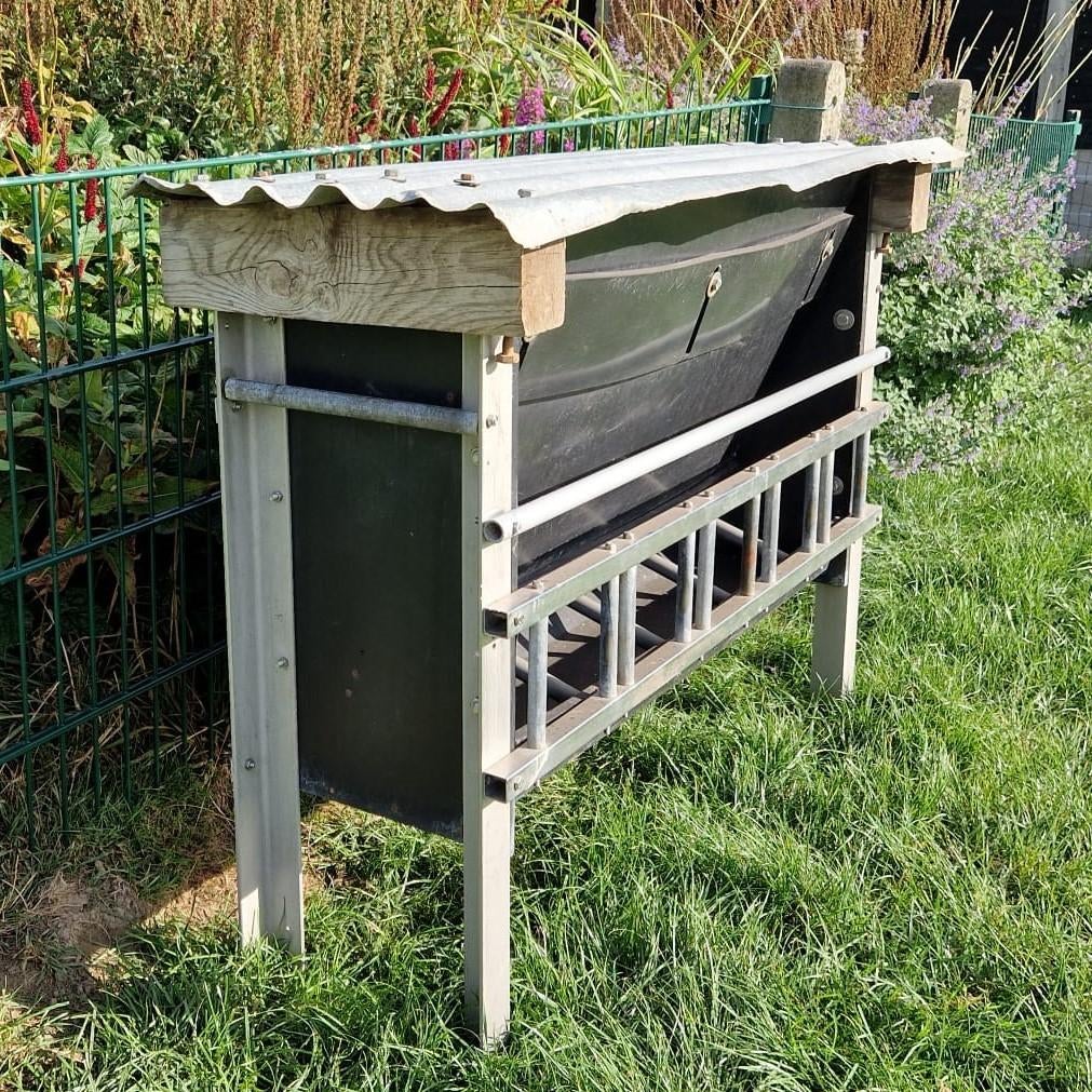 Lammervoerbak, Schaap