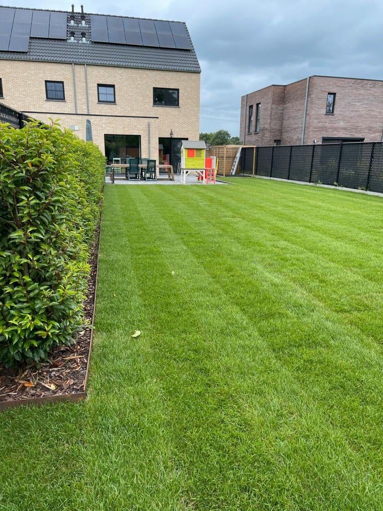 Gras,grasmatten,onkruid,verticuteren, klaver,bemesten,, Tuin en Terras, Ophalen of Verzenden, Gras