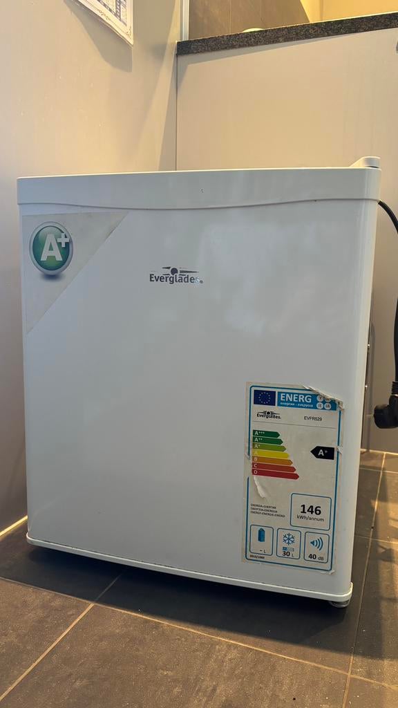 Petit congélateur d'appoint 30L (Everglades), Electroménager, Enlèvement ou Envoi, Comme neuf, Congélateur