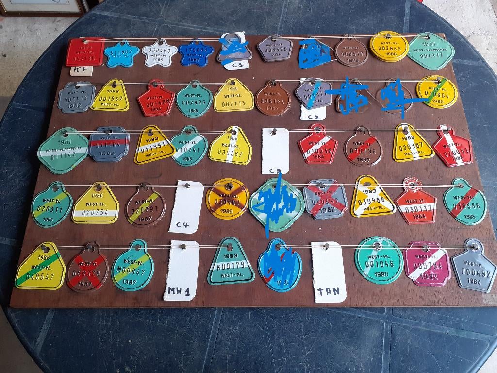 Plaques spéciales West-Vl, chariots de plage, tandem, enfant, Collections, Enlèvement ou Envoi, Utilisé