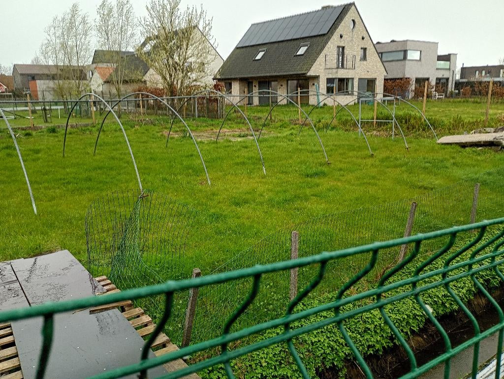 Conservatoire, Enlèvement, Film