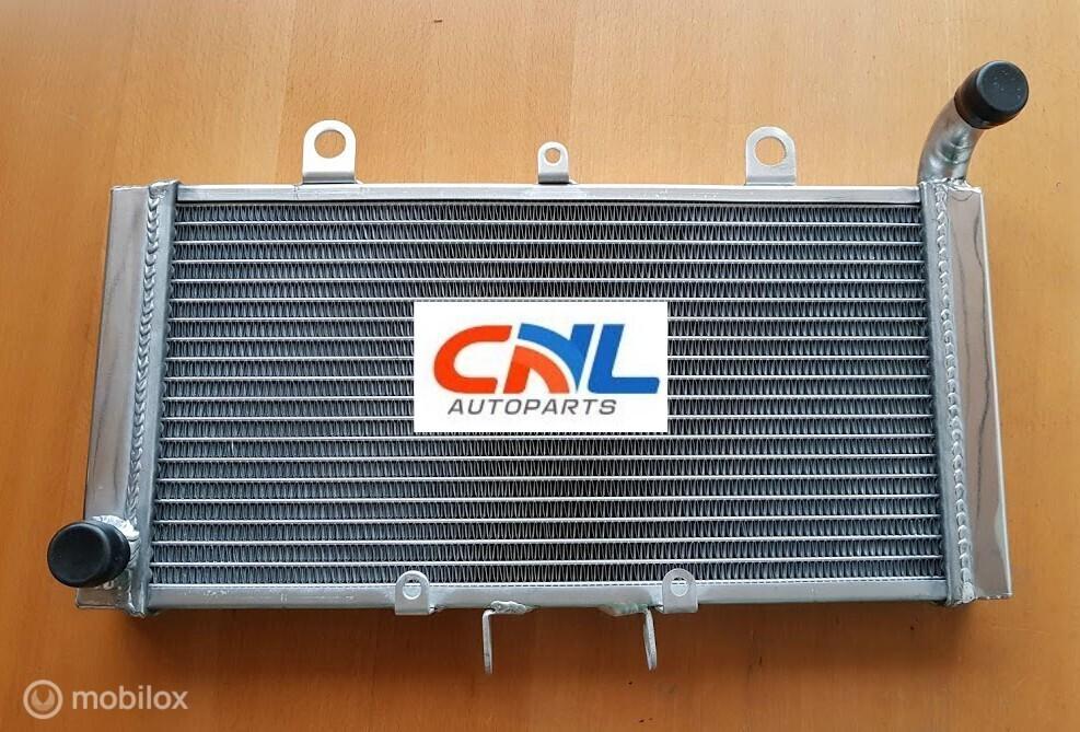 Radiateur HONDA CB1300 CB1300 2003-2008 04 05 06 07 radiator, Neuf, Enlèvement ou Envoi