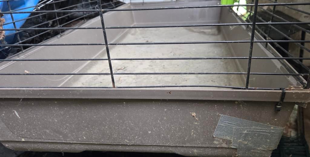 Grande cage pour animaux, Animaux & Accessoires, Boîtes de transport, Enlèvement