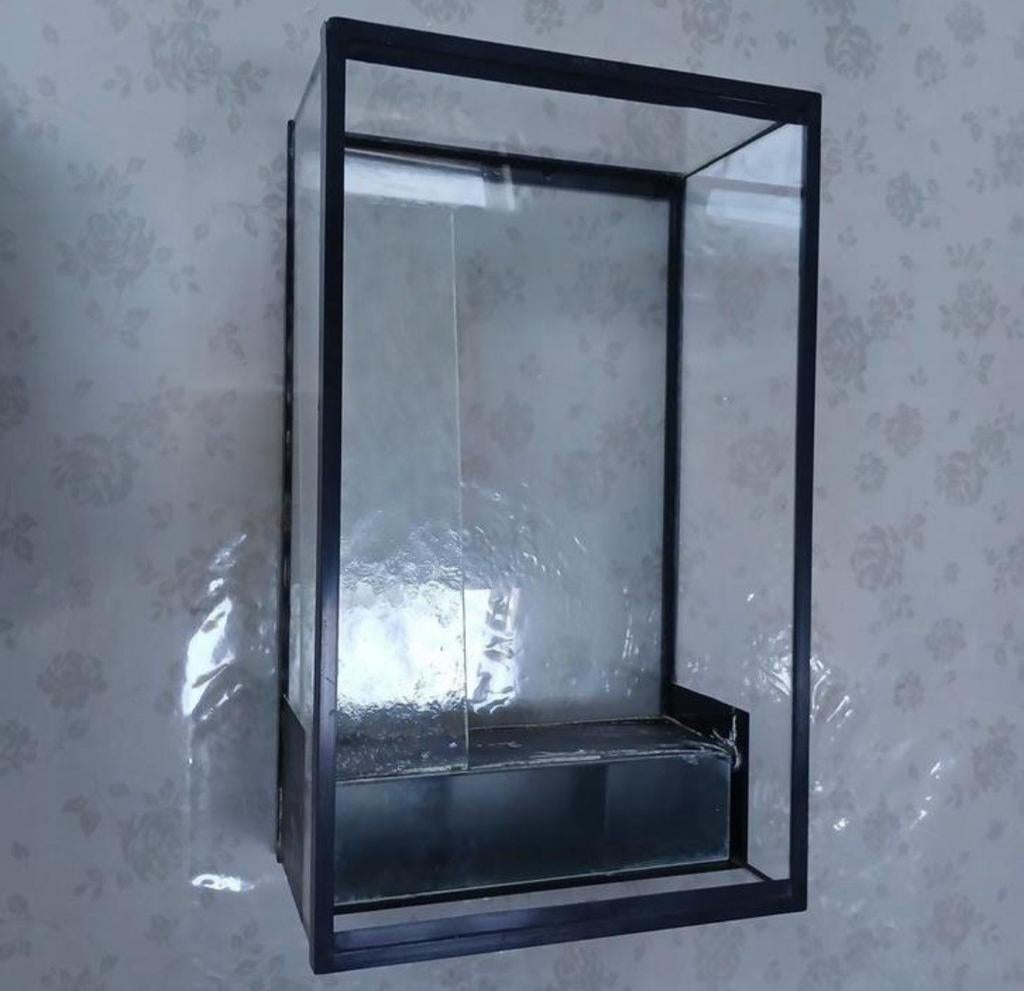 Aquarium à tortue, Enlèvement