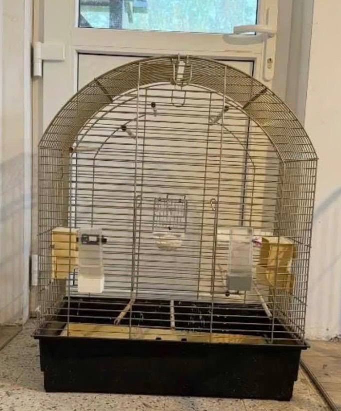 Vogelkooi, Enlèvement, Cage à oiseaux
