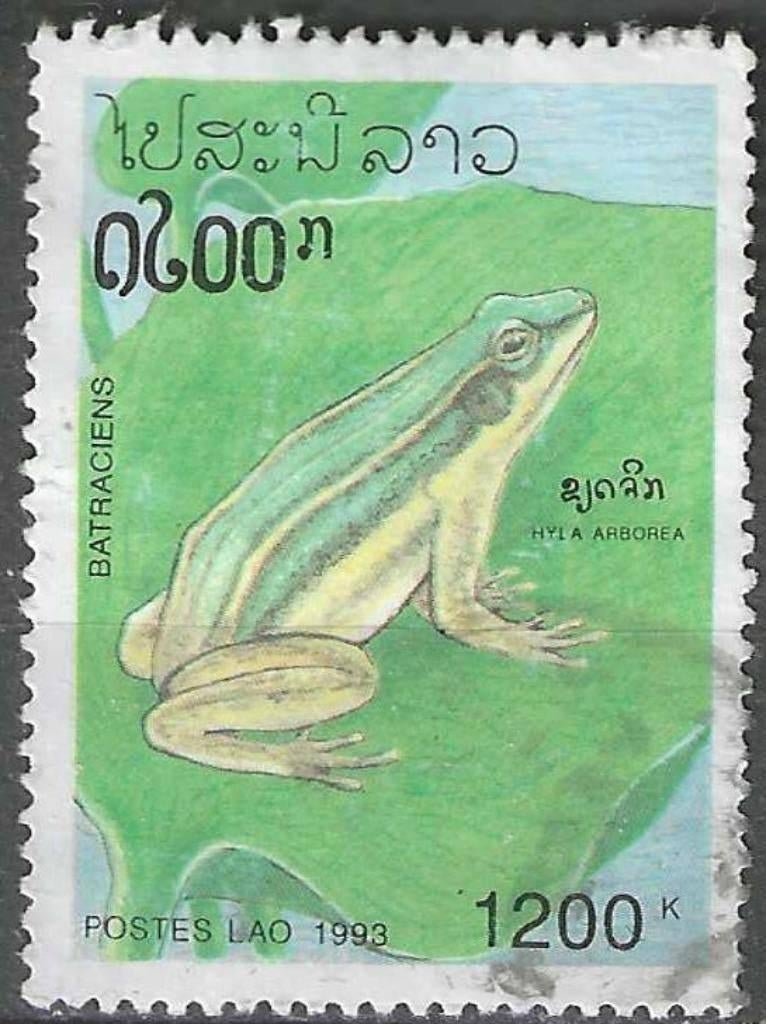 Laos 1993 - Yvert 1080 - Kikkers - Hyla arborea (ST), Verzenden, Gestempeld