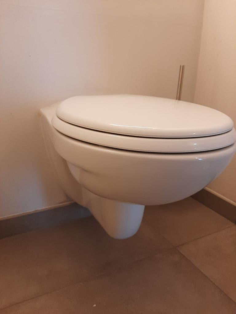 Gebruikte hangtoilet/wc met softclose bril, Doe-het-zelf en Bouw, Ophalen, Zo goed als nieuw, Steen, Toilet