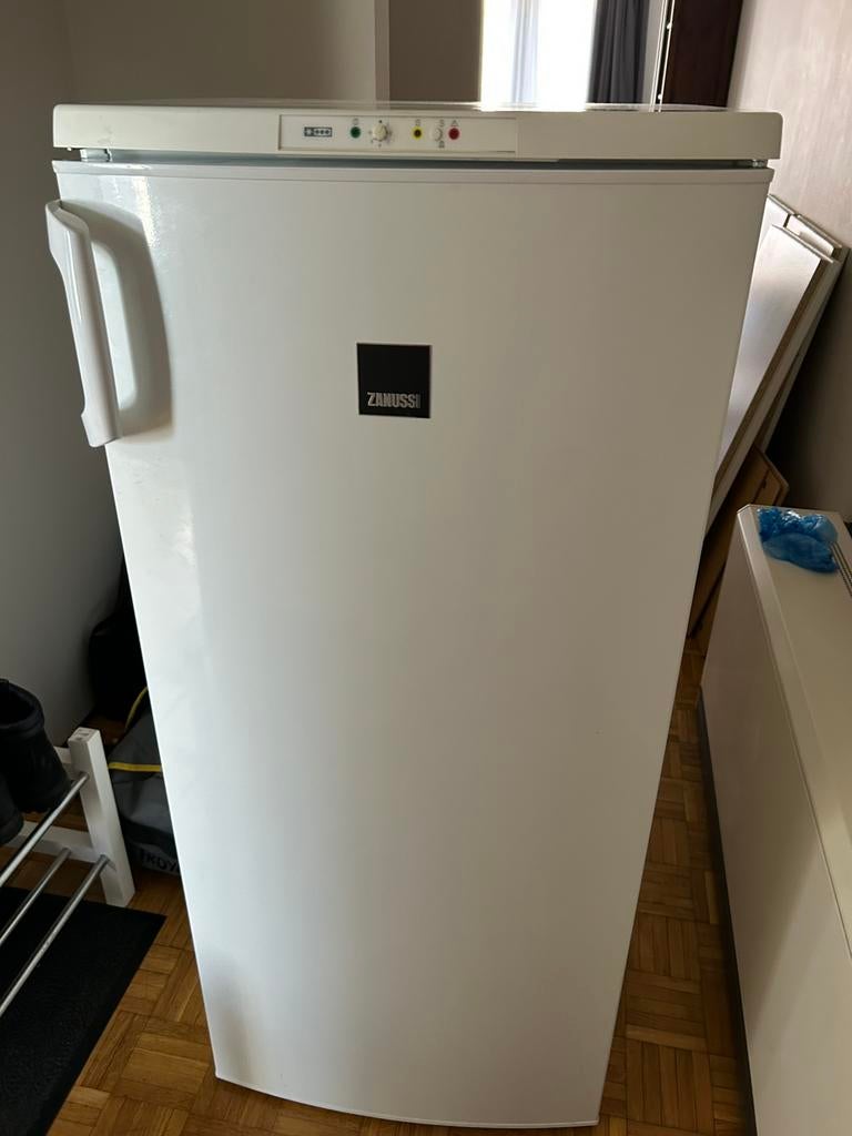 Zanussi diepvries, Ophalen, Gebruikt, 120 tot 140 cm, Minder dan 60 cm