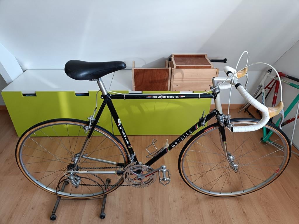 Tijdritfiets Gazelle. Volledig Campagnolo, Gebruikt, Staal, Heren, 53 tot 57 cm