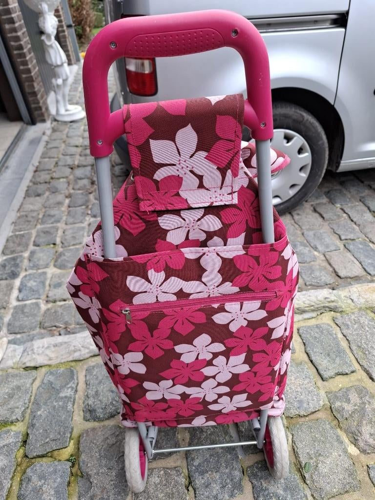 Boodschappentrolley, Ophalen, Zo goed als nieuw, Overige kleuren, Wieltjes