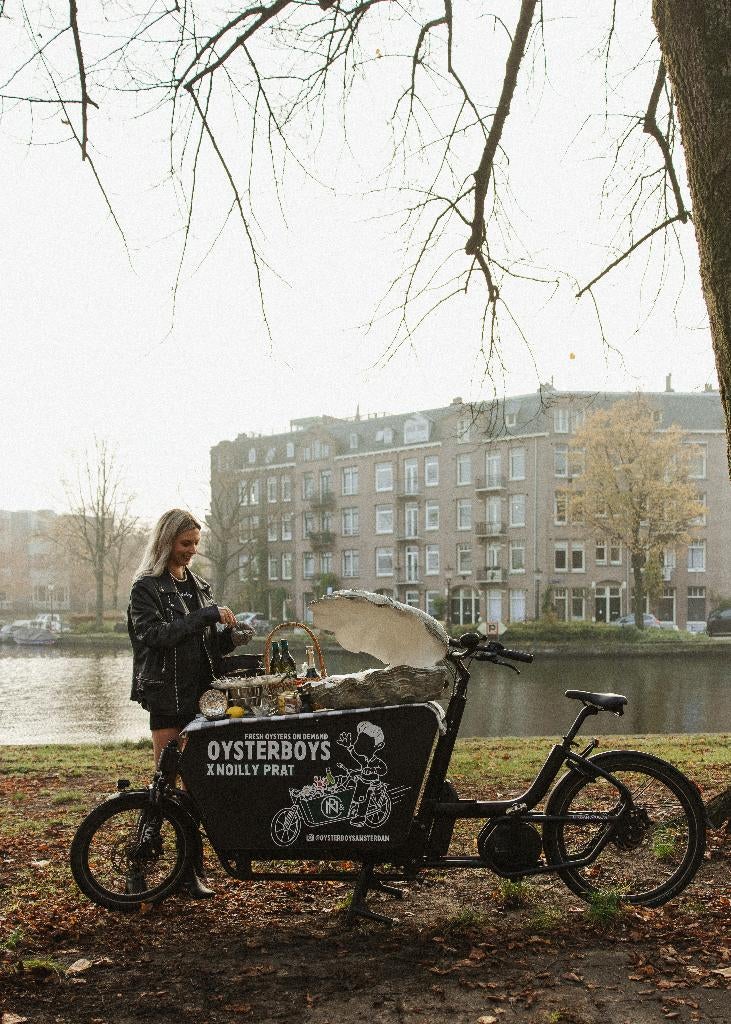 Vélo cargo Urban Arrow L avec godet de votre choix, Vélos & Vélomoteurs, Vélos | Vélos avec bac, Neuf, Autres marques, Marchandises