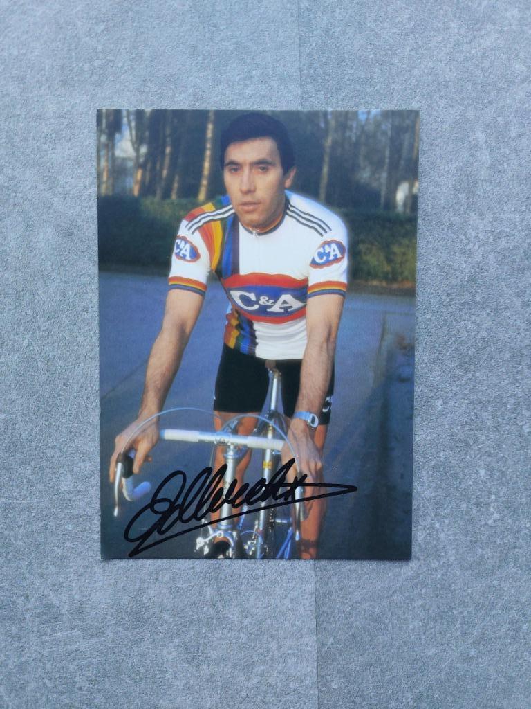 Postkaart Eddy Merckx, Verzamelen, Ophalen of Verzenden, Zo goed als nieuw, Spelerskaart