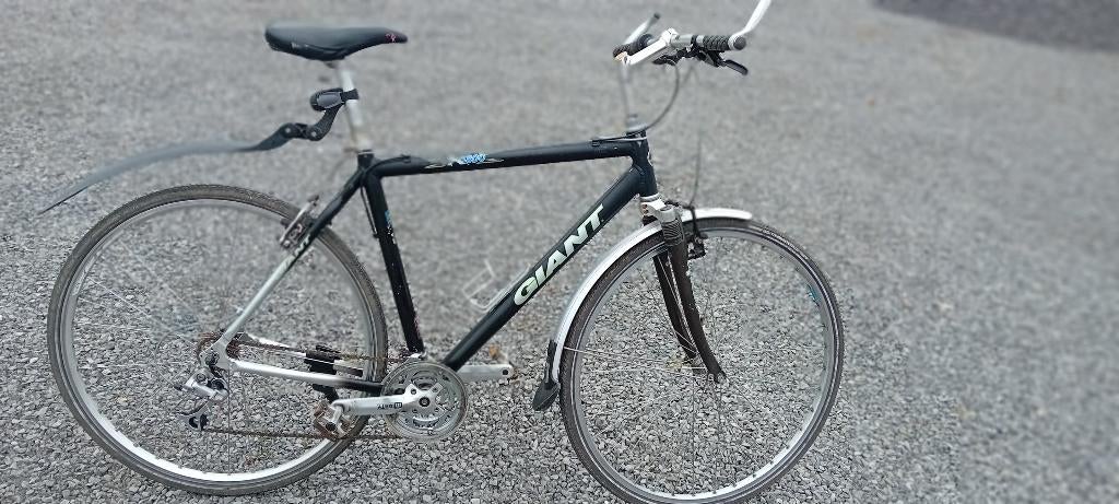 Giant Aluminium, Vitesses, 57 à 61 cm, Enlèvement, Giant