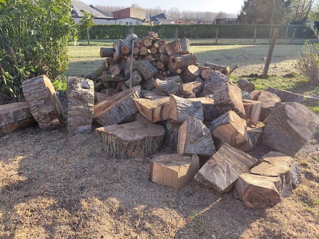 Brandhout notenboom, Tuin en Terras, 3 tot 6 m³, Ophalen, Overige houtsoorten, Blokken
