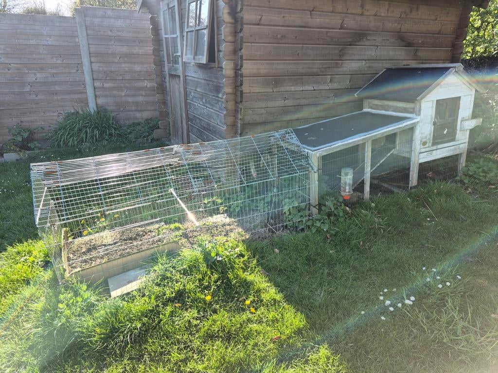 gratuit, Animaux & Accessoires, Enlèvement