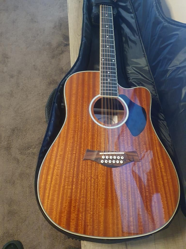 12/snaren gitaar, Enlèvement