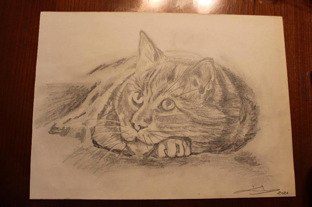 A3-potloodtekening, Verzenden, Nieuw, Potlood of Stift