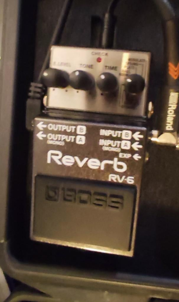 Boss reverb RV6, Musique & Instruments, Enlèvement ou Envoi, Reverb