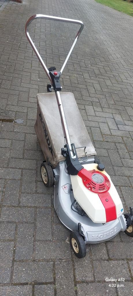 Grasmaaier Hond, Enlèvement