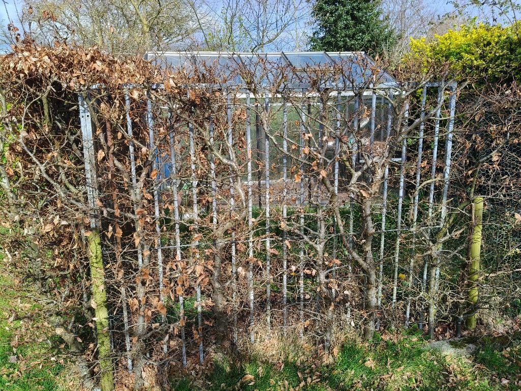 Buiten hondenren, Enlèvement, 100 cm ou plus, 110 cm ou plus, Niche à chien