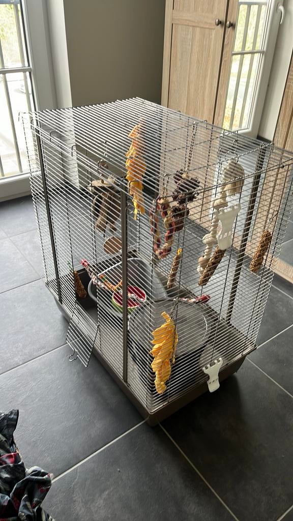 Kooi rat of vogel, Dieren en Toebehoren, Ophalen, Zo goed als nieuw, Kooi, Rat