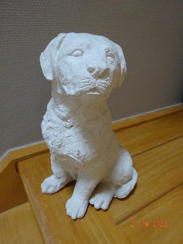 Lief beeld "puppy hond" in Yton (?), Ophalen