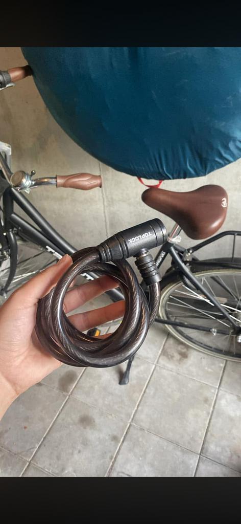 hollandse fiets, Fietsen en Brommers, Ophalen