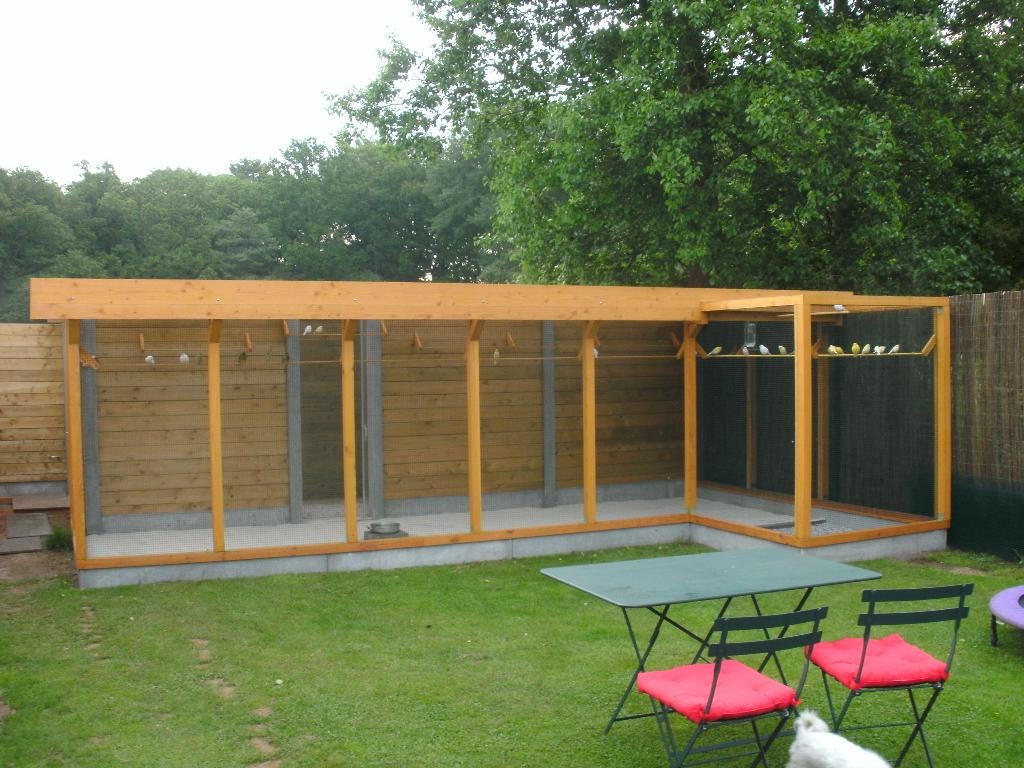 Mooie , groen koppel 2025 - broedrijp !!!, Dieren en Toebehoren