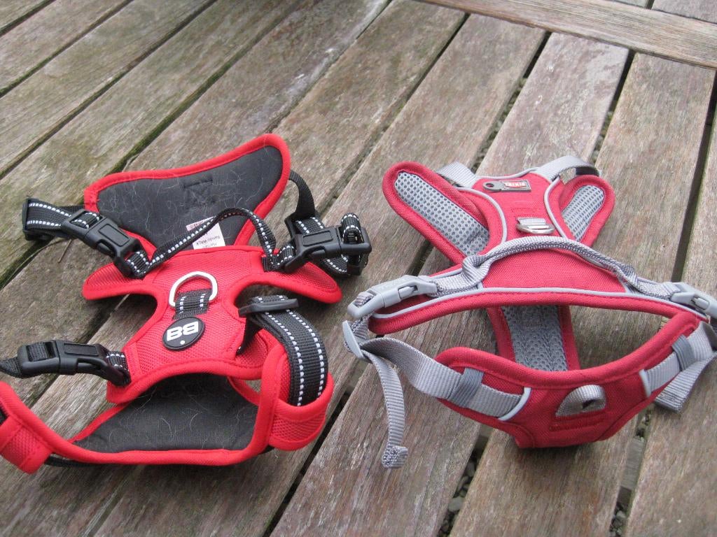 honden harnas, Étranger, 3 à 5 ans, Particulier, Un chien