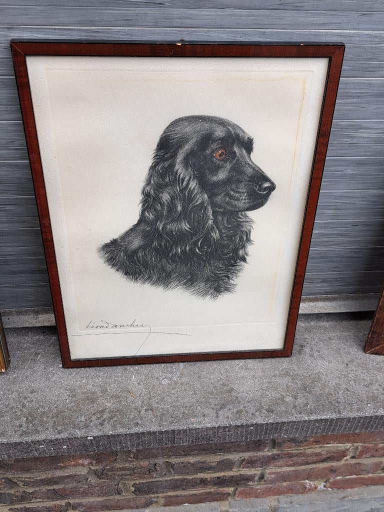 Gravure cocker signe leon danchin, Ophalen of Verzenden