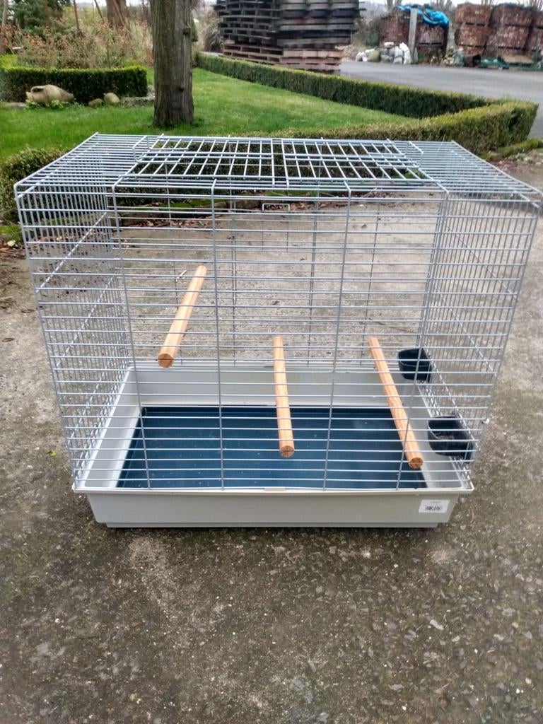 Cage à calopsittes, Enlèvement