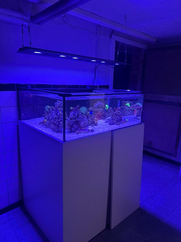 Zeeaquarium shallow 100x90x40, Animaux & Accessoires, Poissons | Aquariums & Accessoires, Comme neuf, Enlèvement ou Envoi