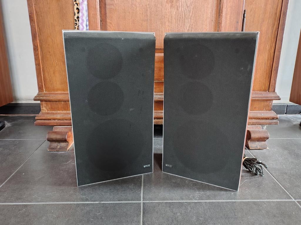 Beovox S30 type 6317, TV, Hi-fi & Vidéo, Enceintes, Enlèvement