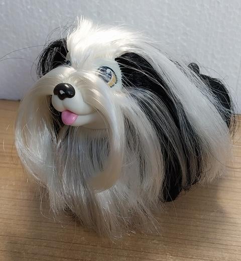 Chiots Sweetie « Shih Tzu », Enlèvement ou Envoi, Utilisé