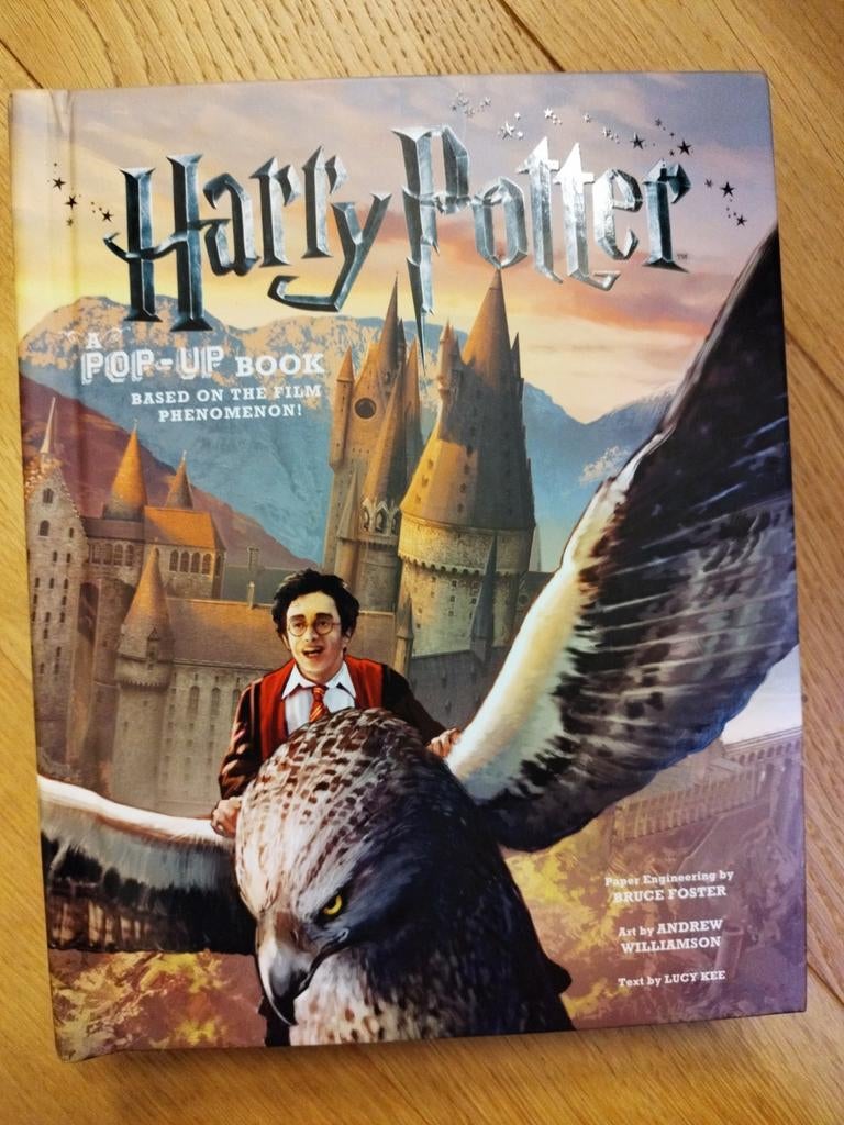 Harry Potter Pop Up de Bruce Fosyer