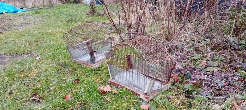 Kooitjes (2 stuks), Ophalen