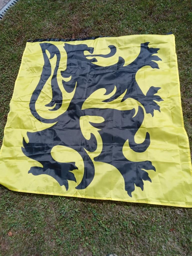 vlaamse leeuw 114 op 117 cm, Ophalen, Gebruikt