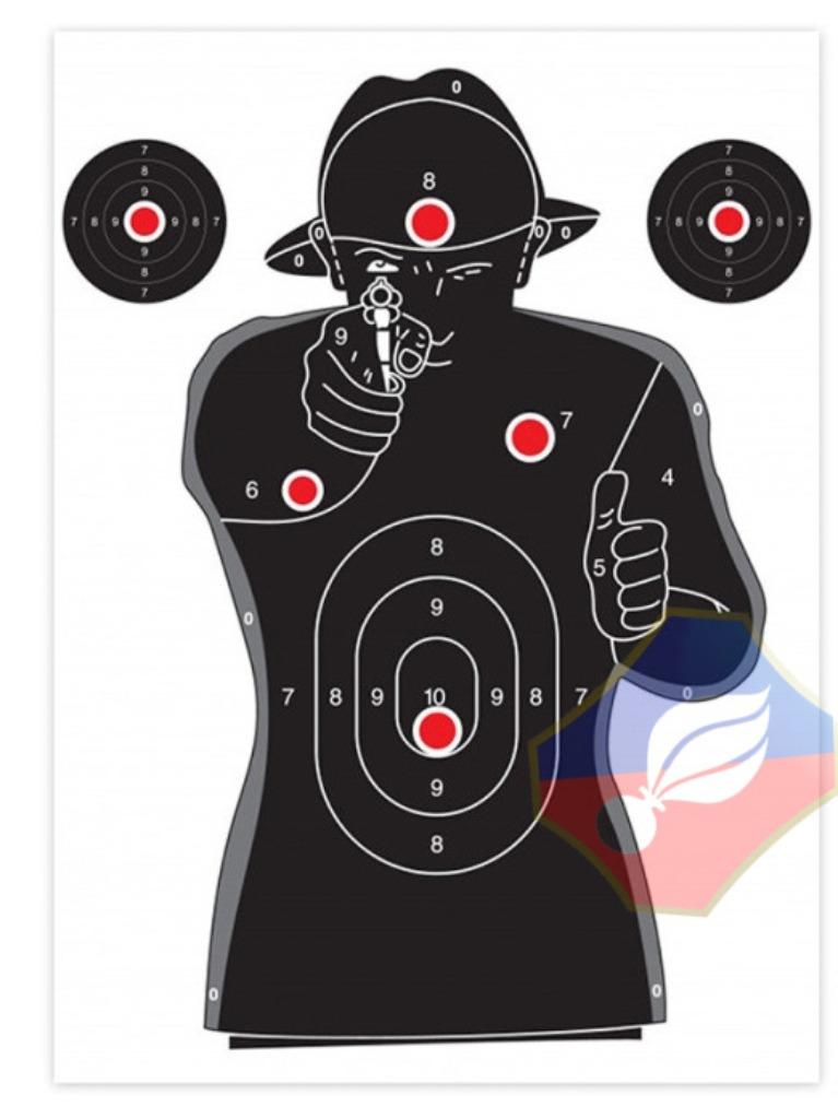 RIJKSWACHT ORGINELE SCHIETDOEL  5 STUKS  50x70, Verzamelen, Militaria | Algemeen, Verzenden, Rijkswacht, Foto of Poster