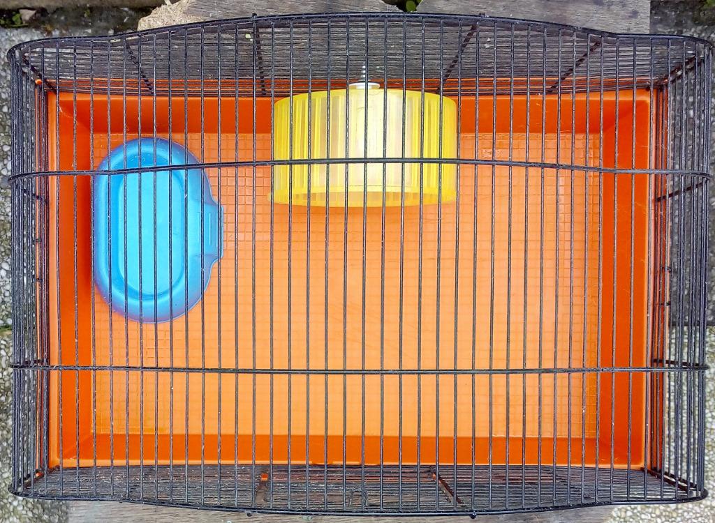 Cage Ferplast M79 pour rongeurs ou autres, Enlèvement, Utilisé, Cage, Souris