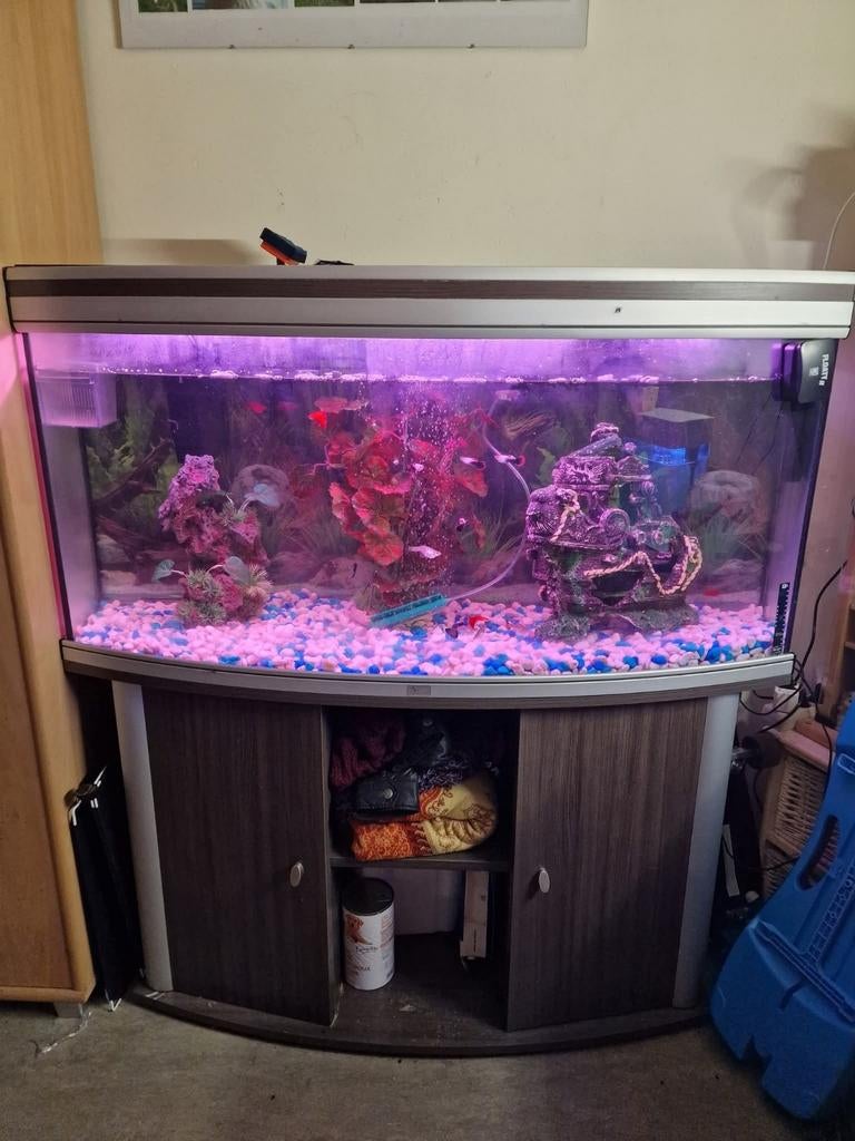 Aquarium met kast, Enlèvement