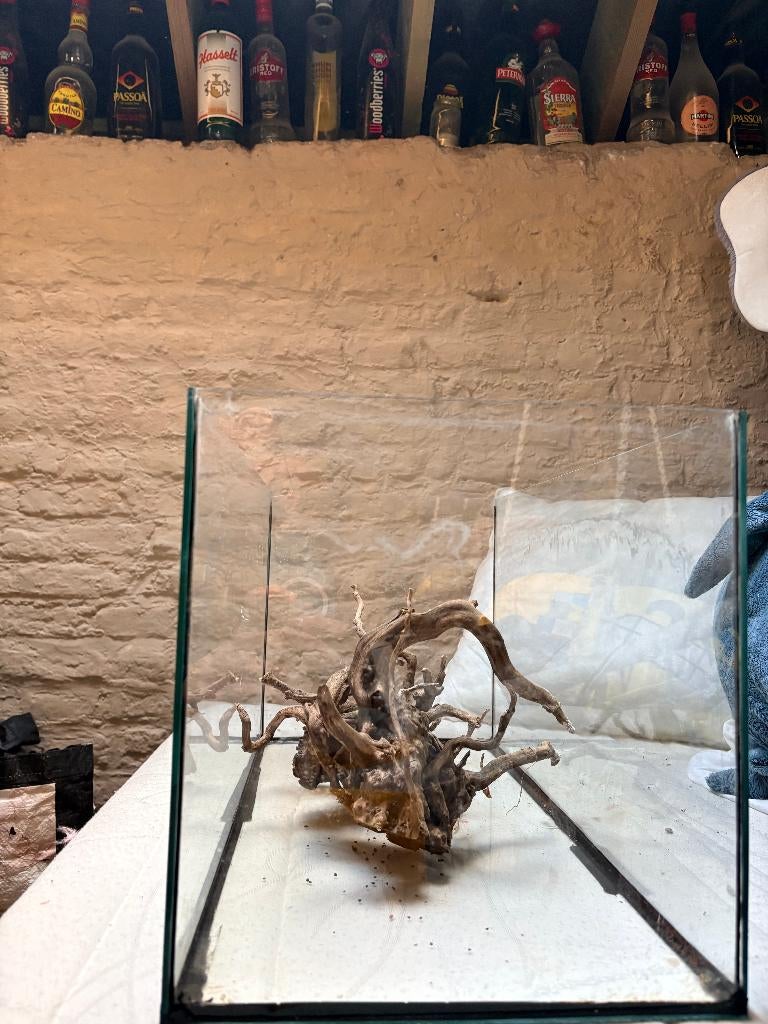 aquarium complet, Animaux & Accessoires, Aquarium vide, Comme neuf, Enlèvement, Chauffage