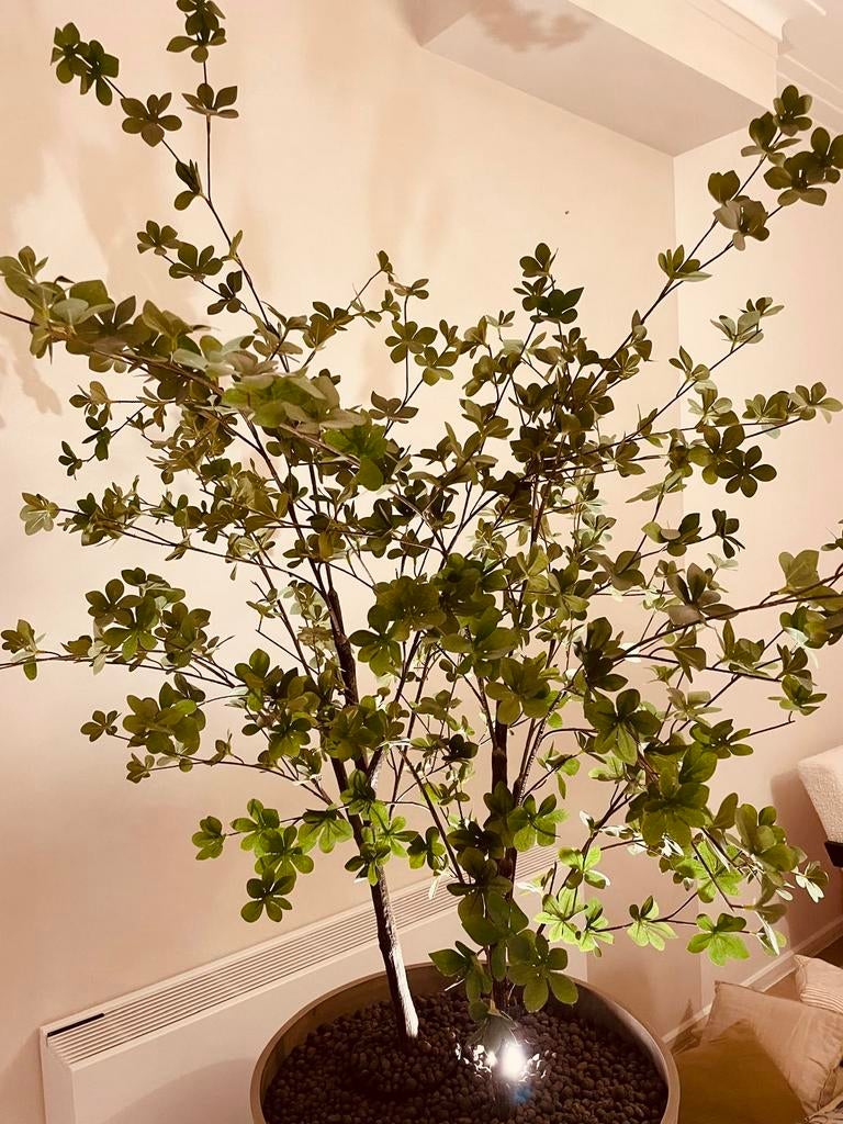 plant artificielle, Enlèvement, Comme neuf, Plante artificielle, Intérieur