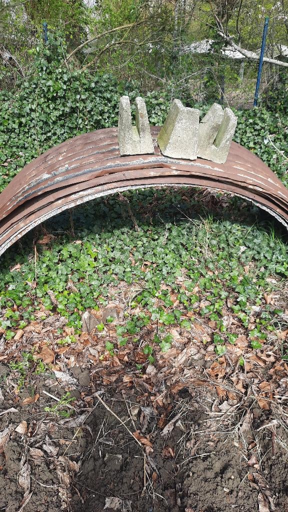 witloofplaten, Zakelijke goederen, Landbouw | Aardappelen, Groenten, Fruit en Vlees, Ophalen