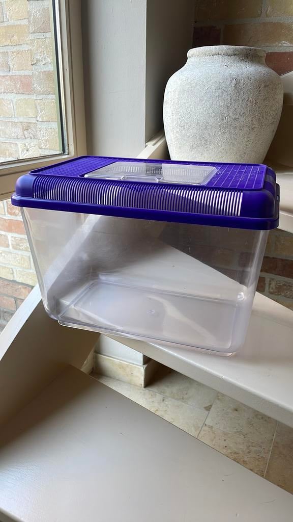 Quarantainebak aquarium, Dieren en Toebehoren, Vissen | Aquaria en Toebehoren, Ophalen, Gebruikt, Leeg aquarium