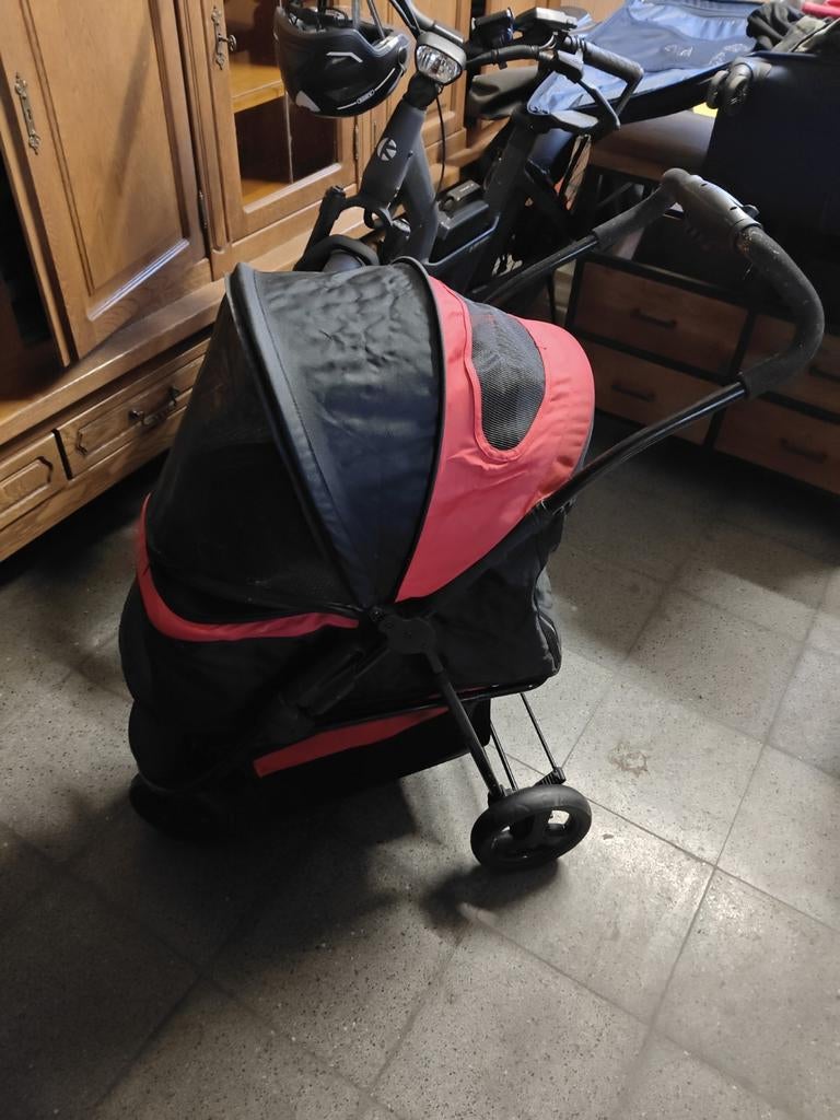 Buggy, Dieren en Toebehoren, Ophalen