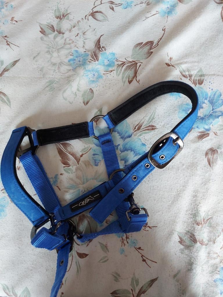 Licol shetland, Enlèvement ou Envoi