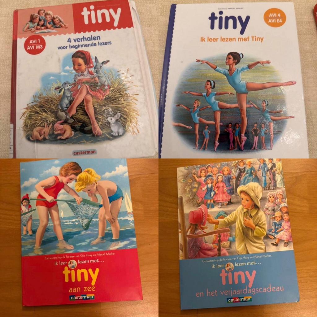 4 Tiny Boekjes, Boeken, Ophalen of Verzenden, Gelezen, Fictie algemeen