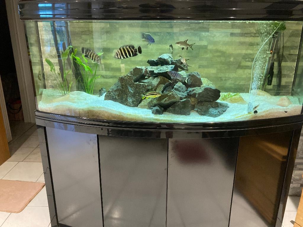 Aquarium avec meuble, Enlèvement